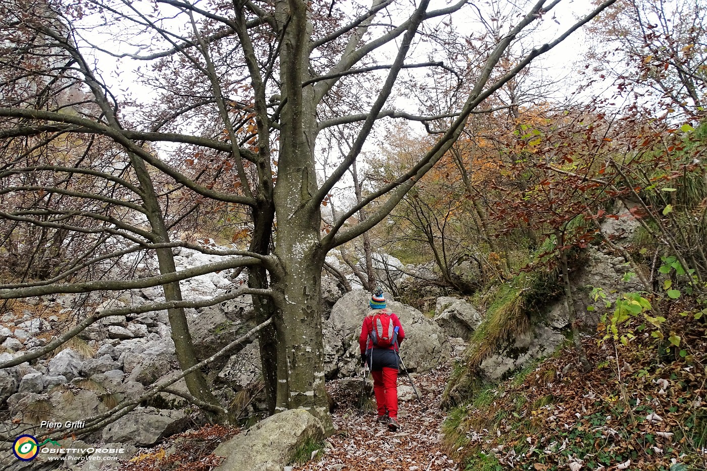 14 Il ghiaione dei torrioni invade il bosco.JPG